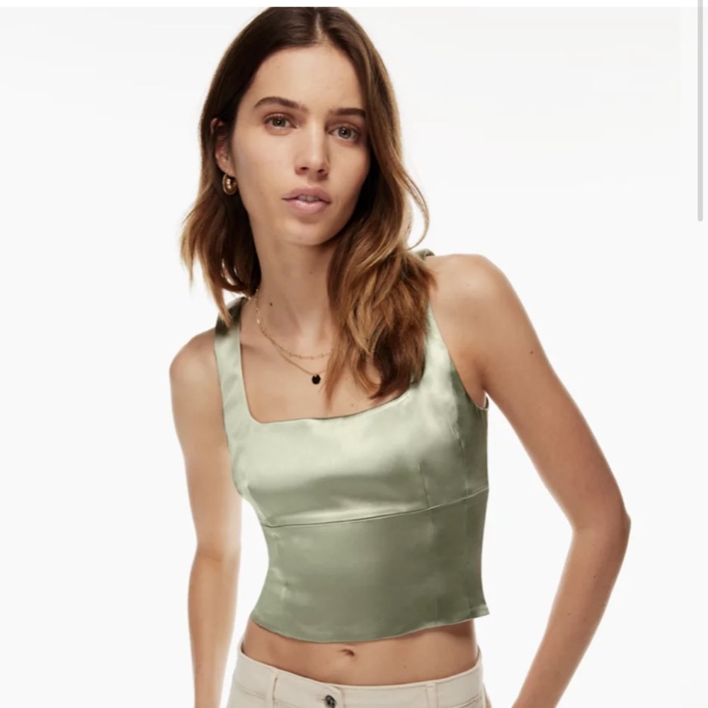 Wilfred Shine Bustier XS Silver Sage Green NWT
